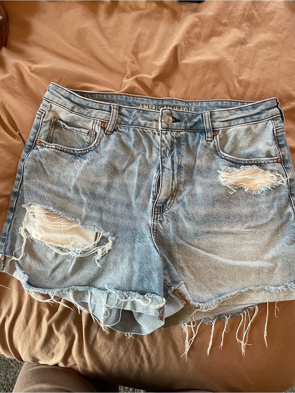 American Eagle Outfitters Light Blue Distressed Denim Cutoff Shorts